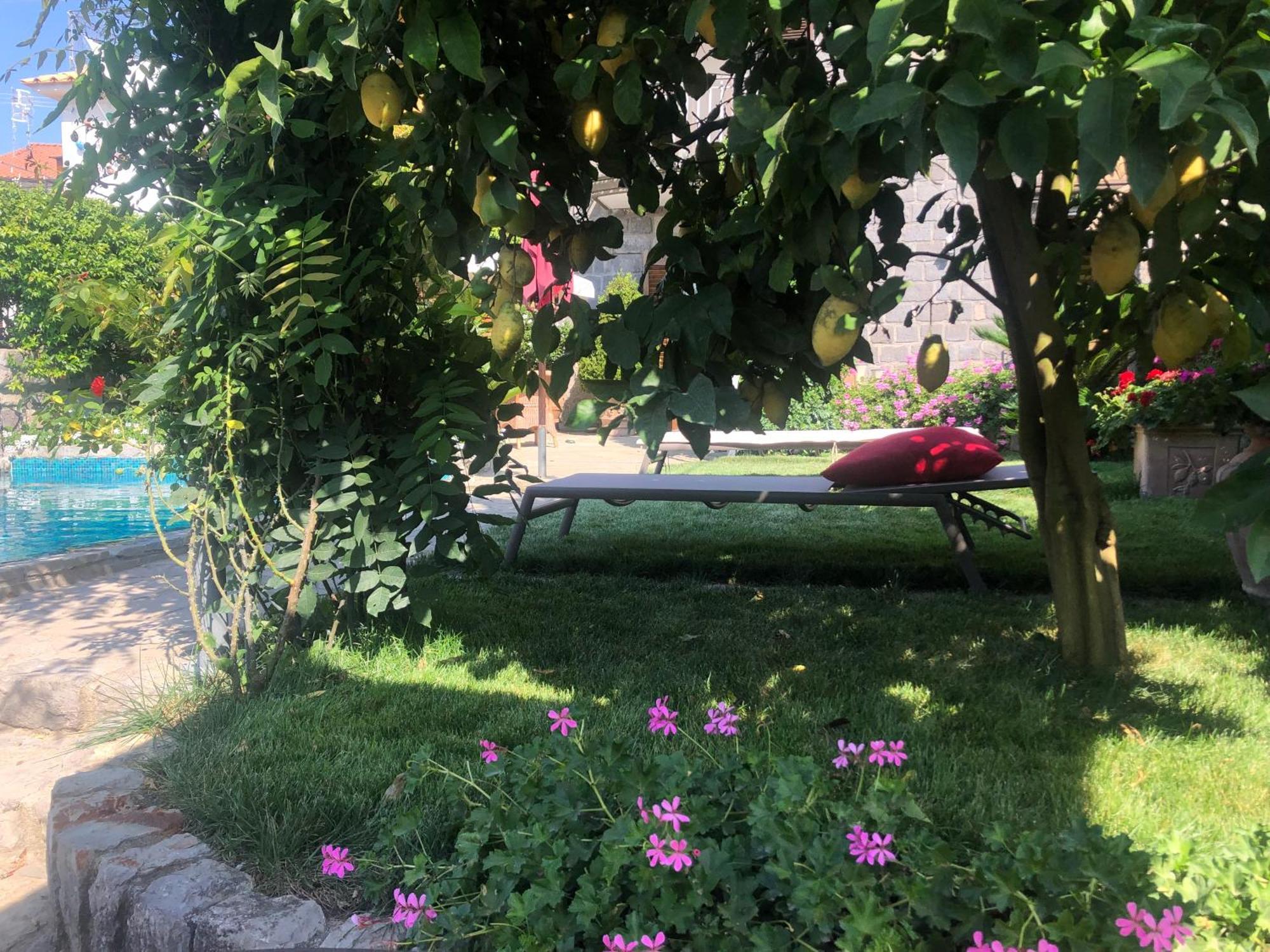 סנט אגאתה סוי דואה גולפי Maison Villa Angela מראה חיצוני תמונה